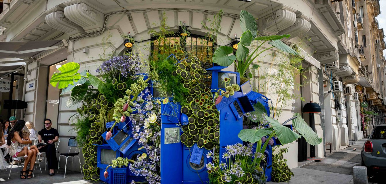 UNDErGrowth_Instalatia manifest ENVIRON