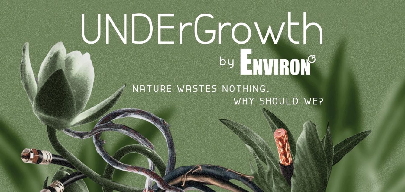 unde reciclam undergrowth unde reciclam undergrowth
